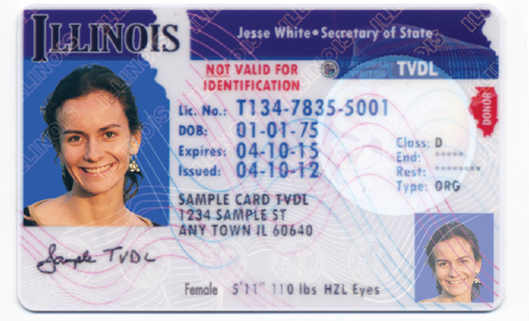 Undocumented In Illinois Can Apply For Driver's License – CBS Chicago