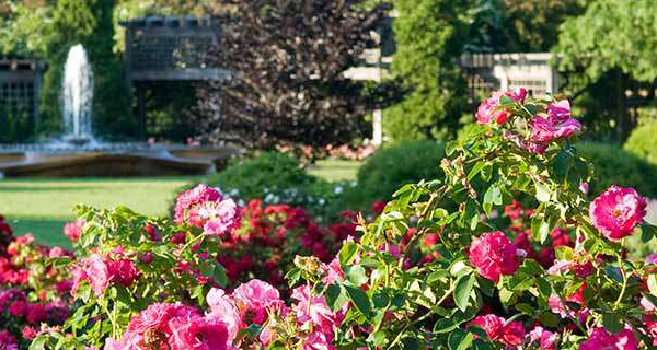 Best Botanical Gardens In Chicago Cbs Chicago