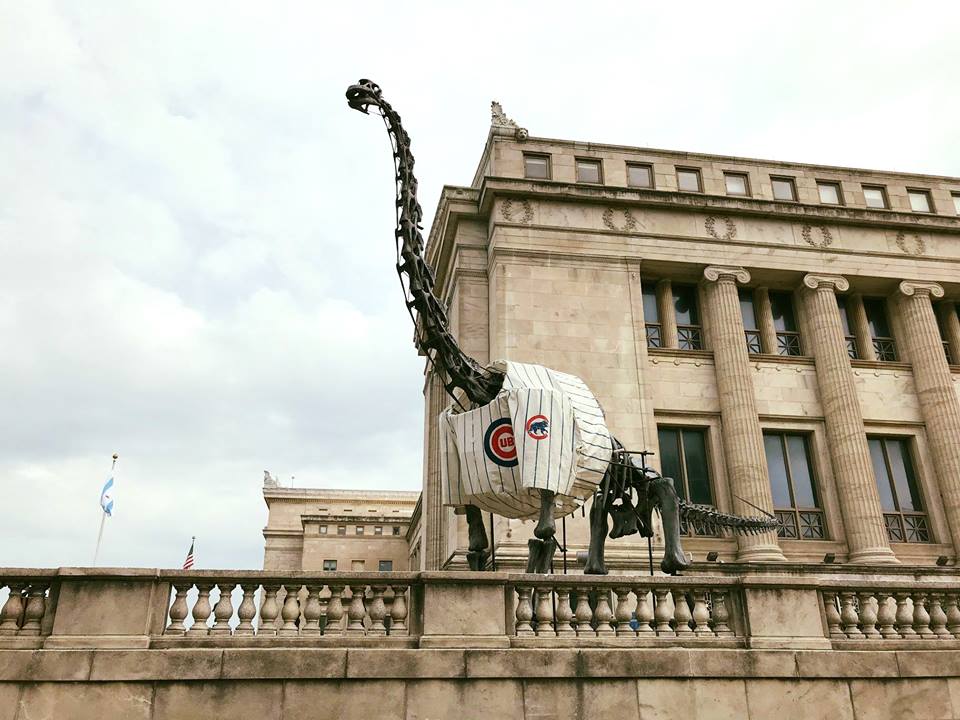 Brachiosaurus skeletal mount dressed in a Chicago Cubs jersey outside of the Field Museum.
