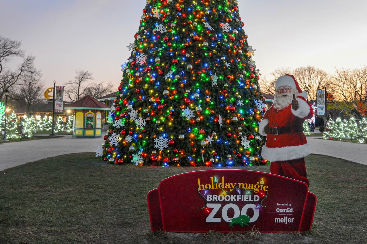 Christmas Lights - Brookfield Zoo 2021 For Freee