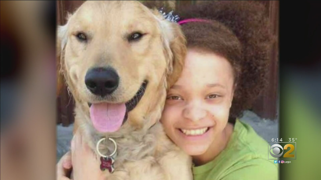 Woman sues group after her lost dog gets adopted